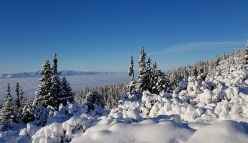 Hotel CROCUS **** Vysoké Tatry